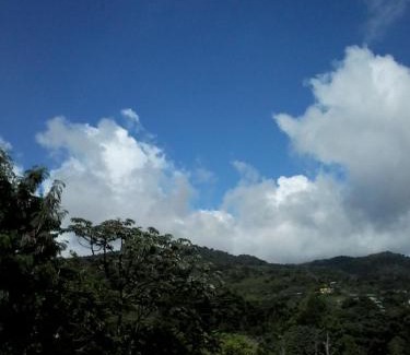 Santa Elena Bed & Breakfast | Cabinas Nuestra Kasa