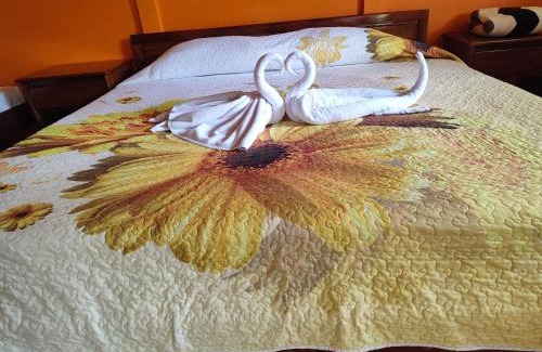 Katira Hotel | Cabinas Piuri