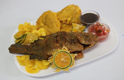 San Rafael de Guatuso Apartment | Cabinas Sueño Real