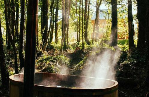 Cavan Resort | CABÜ by the Lakes