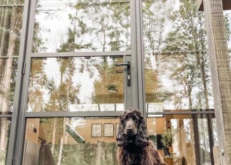 Cavan Resort | CABÜ by the Lakes