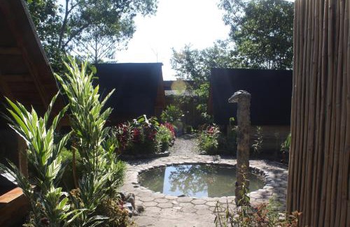 Cotundo Other | Cacao Glamping