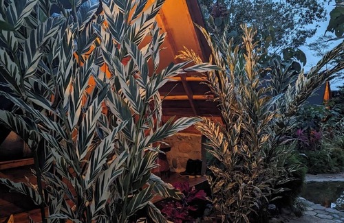 Cotundo Cabin | Cacao Glamping