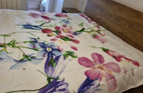 Crni Kal Apartment | Caci