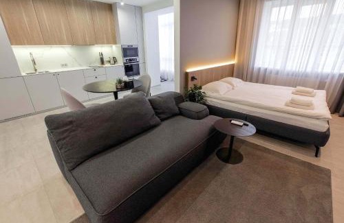 Kosuv Stary Apartment | Cactus Apartments 2