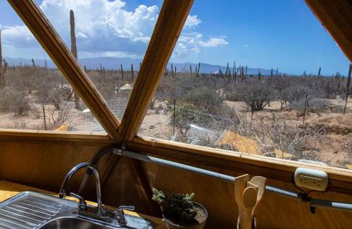 La Paz Other | Cactus Lodge Baja