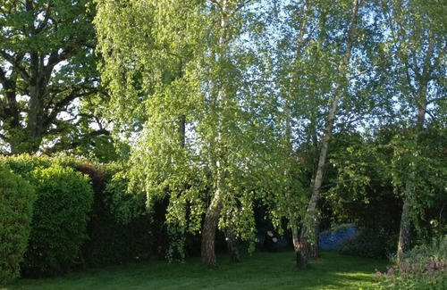 Servignat Bed & Breakfast | Cadol'Ain
