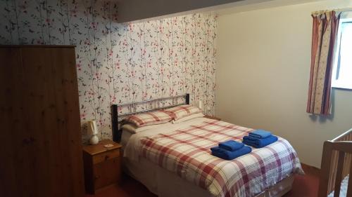 Dinas House | Cae Berllan Cottages