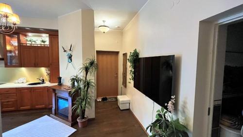 Narva Apartment | Caesar Apartments