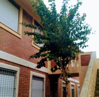 Simoes Lopes Apartment | Cafofo da Rosane