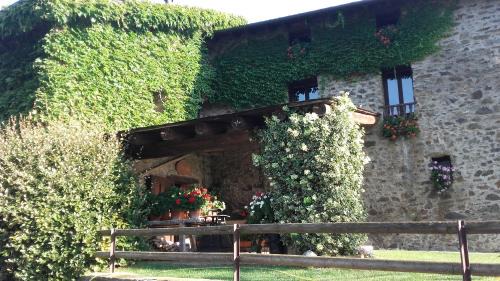 Planoles House | Cal Sadurní