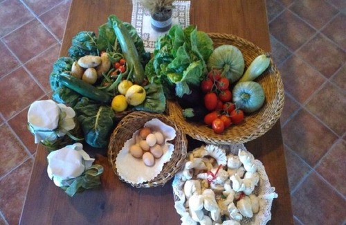 San Vero Milis Bed & Breakfast | "Cala Saline" Bed & Breakfast