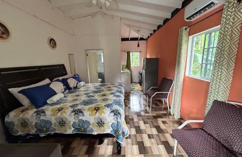 Ewarton House | Caldo Tours