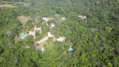 Seven Miles El Progresso Resort | Calico Jack's Resort