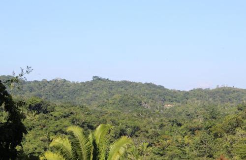 Seven Miles El Progresso Resort | Calico Jack's Resort