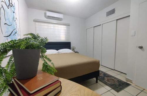 Juarez Municipality Apartment | Calido Depa, renovado, tranquilo y céntrico