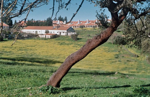 Vila Vicosa Hotel | Calipo