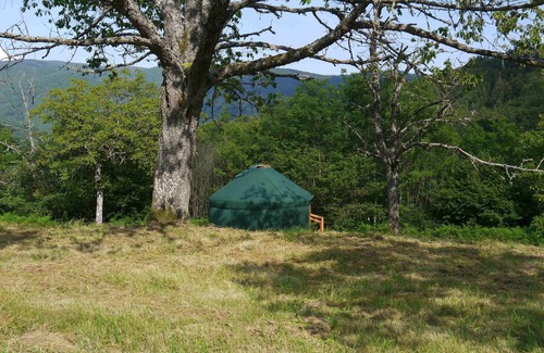 Laprugne Cabin | Calm and cocooning, the Fuschia Yurt