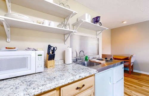 Baneberry Apartment | Calm, dog-friendly studio with patio, gym, game room & picnic area - near lake