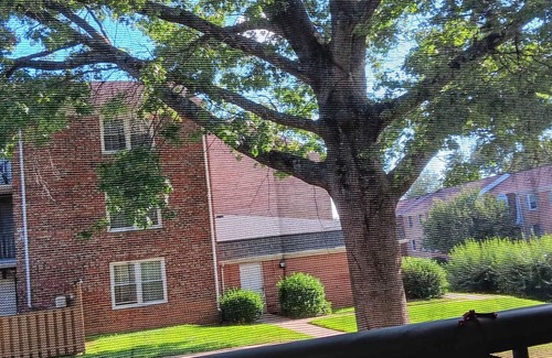 Gaithersburg Condo | Calm Palace Stay. The Away Home