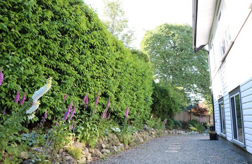 Regional District of Nanaimo House | Calm, quiet refuge in the Heart of the Old City Quartern