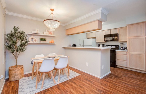 Astrodome Apartment | Calm Stay Houston Med Center|TMC |MD Anderson| NRG