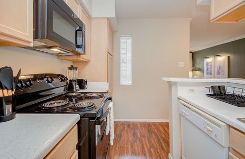 Astrodome Apartment | Calm Stay Houston Med Center|TMC |MD Anderson| NRG