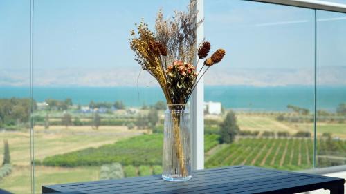 Migdal Villa | Calma Villa Sea of galilee
