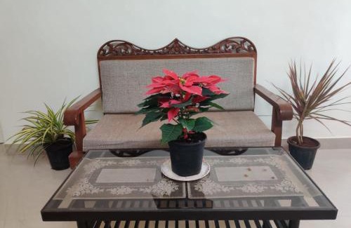 Juhu Apartment | Calming Abode