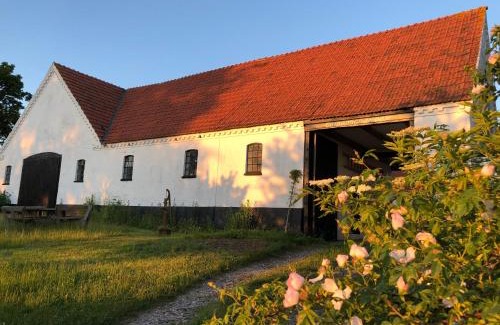 Borre House | Camønogaarden B&B, darksky cabins and events