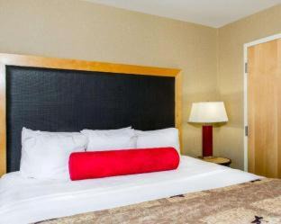 Appleton Hotel | Cambria Hotel Appleton