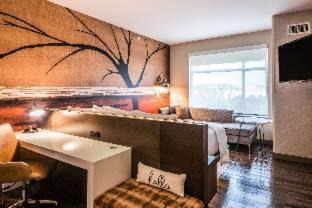 McAllen Hotel | Cambria Hotel McAllen Convention Center