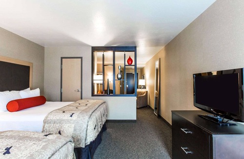 Rapid City Hotel | Cambria Hotel Rapid City near Mount Rushmore