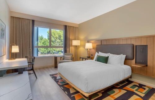 Templeton Hotel | Cambria Hotel Templeton - Paso Robles