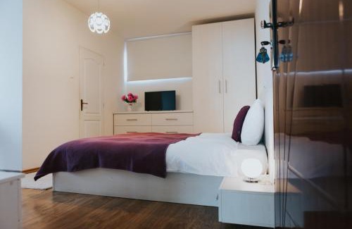 Baia Mare House | Camelia's cozy place