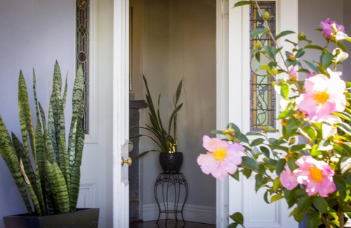 Cessnock Cottage | Camellia Cottage - Beautiful 3 bedroom cottage with gorgeous gardens - stroll to local cafes!