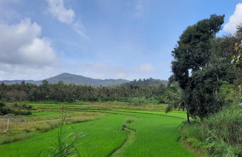 Madikeri Resort | Camp coorg