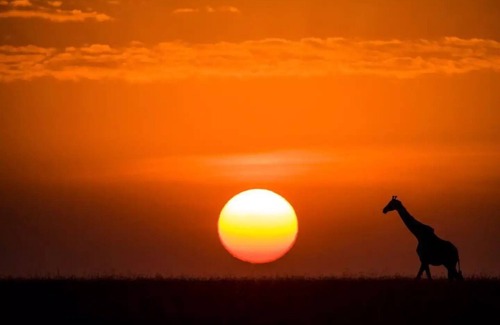 Oloitoktok RV Rental | Camp David Amboseli