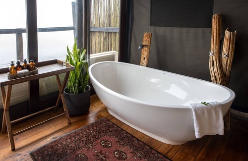 Addo Other | Camp Figtree