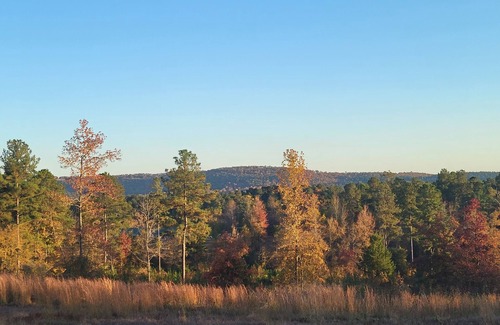 Kirby RV Rental | Camp less than a mile from Kirby Landing, Cowhide Cove Mountain Views