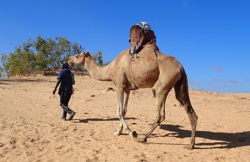 Lompoul RV Rental | Camp Lodge In Lompoul - Double tent in the Sahel desert