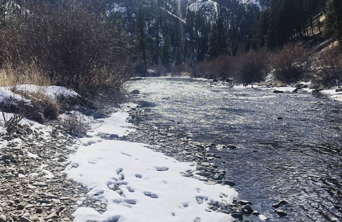 Ravalli County RV Rental | CAMP SULA - RV SITE 7