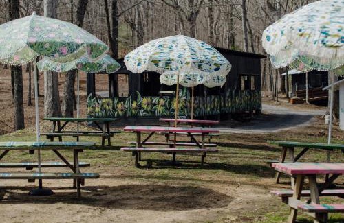 Tracy City Other | Camp Swann