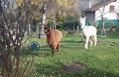 Sainte-Catherine House | Campagne Auvergnate Gite Fournial 5personnes Animaux en Liberte Calme