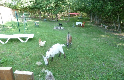 Sainte-Catherine House | Campagne Auvergnate Gite Fournial 5personnes Animaux en Liberte Calme