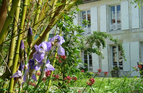 Saintes House | CAMPAIGN IN CITY. Heated private pool. On the edge of Charente in Saintes.