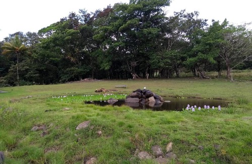 Tierras Morenas RV Rental | Camping and RV parking area 5