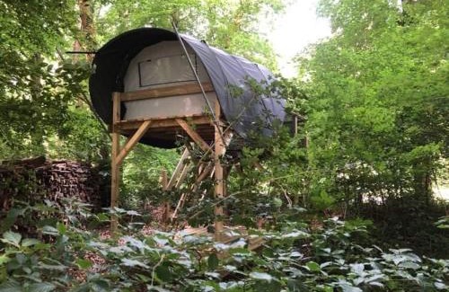 Habay Other | Camping Ardennes Insolites-Camping Alaska