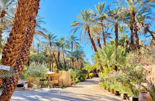 Amezrou Other | Camping auberge palmeraie d'amezrou