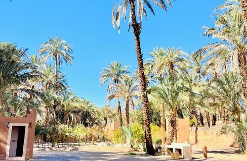 Amezrou Other | Camping auberge palmeraie d'amezrou